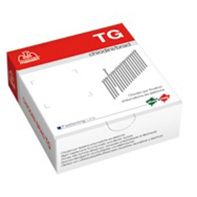 Vendita online Chiodini galvanizzati con testa tg/30 5.000 pezzi
